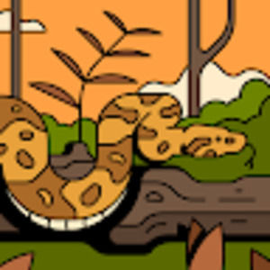 Meet your Posher, Manman